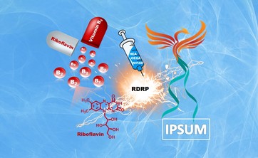 Koło Naukowe Inżynierii Chemicznej i Farmaceutycznej „IPSUM”