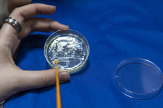 Nocne Spotkania z Nauką na Wydziale Chemicznym